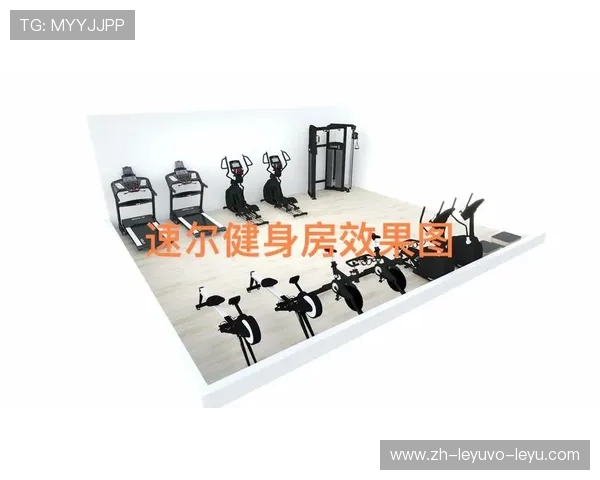 成都速尔健身器材品牌产品特色解析 成都速尔健身器材品牌产品特色解析