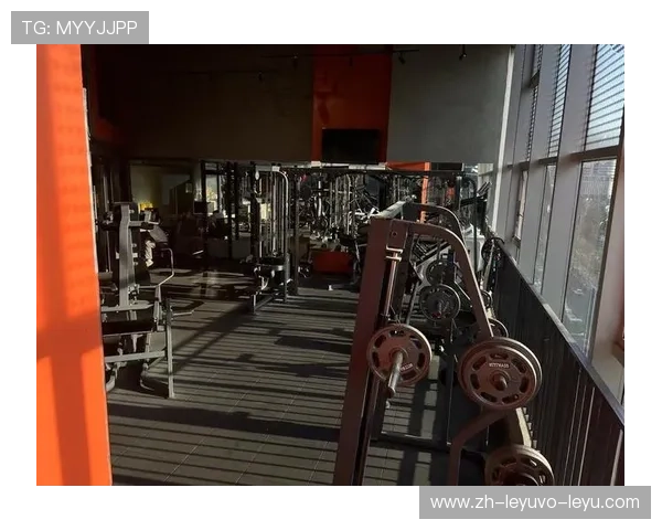 美国悍马健身器材:美国悍马健身器材的性能与使用心得 美国悍马健身器材:美国悍马健身器材的性能与使用心得