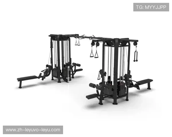 高端健身器材品牌代理加盟体系构建区域市场竞争壁垒 高端健身器材品牌代理加盟体系构建区域市场竞争壁垒