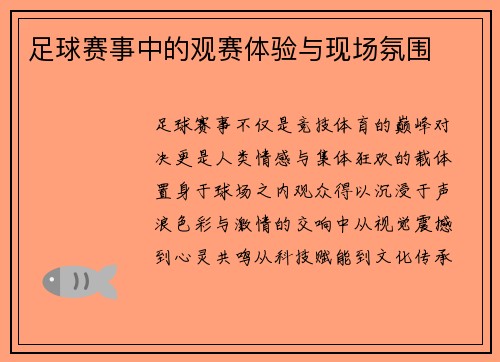 足球赛事中的观赛体验与现场氛围