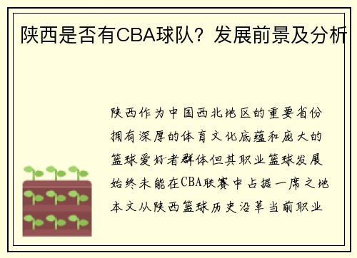陕西是否有CBA球队？发展前景及分析